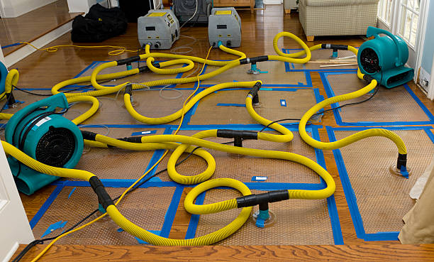 Professional Water Damage Restoration technician working in Rhinelander, WI